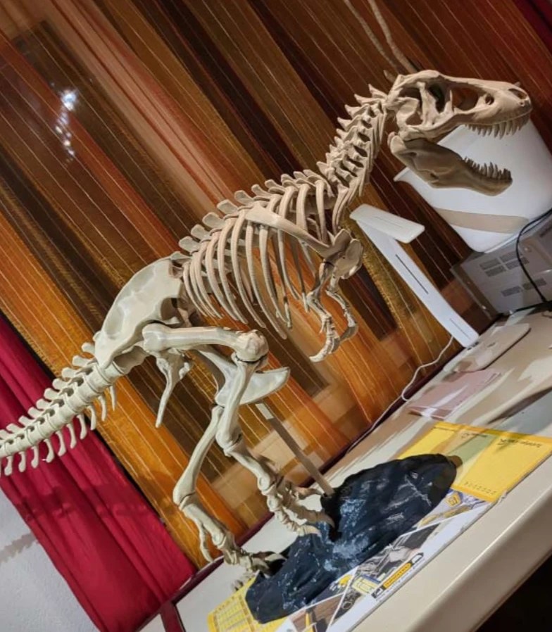 Large 3D printed dinosaur skeleton standing on a studio table