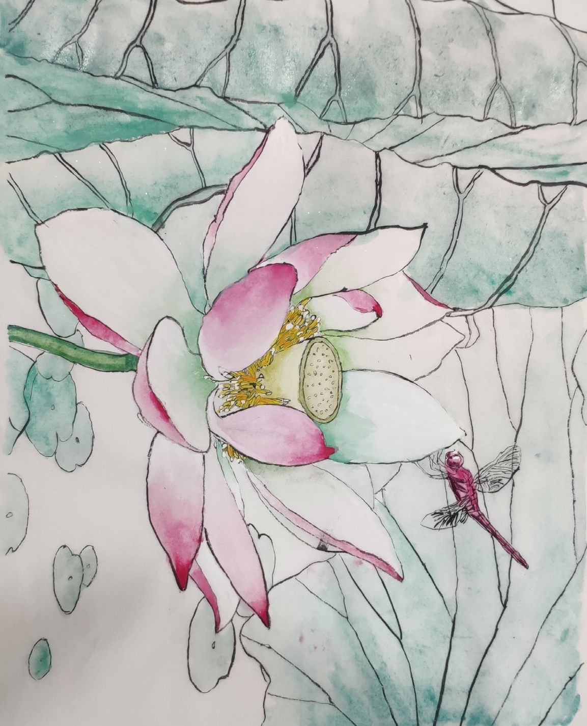 Gongbi ink-and-colour painting of an open lotus flower with a dragonfly resting on a stem
