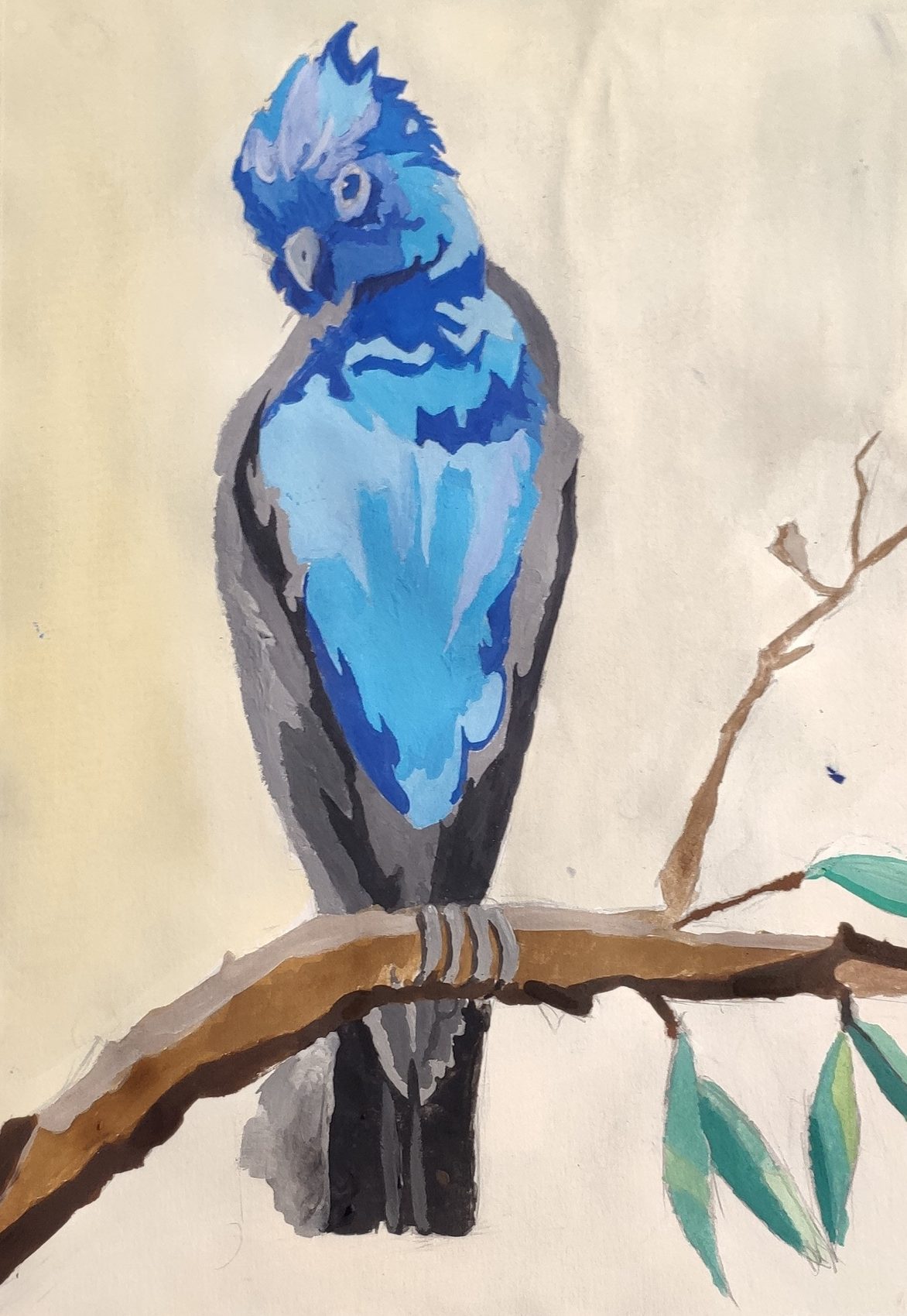 Blue cockatoo perched on a branch, painted in flat blocks of blue and grey gouache