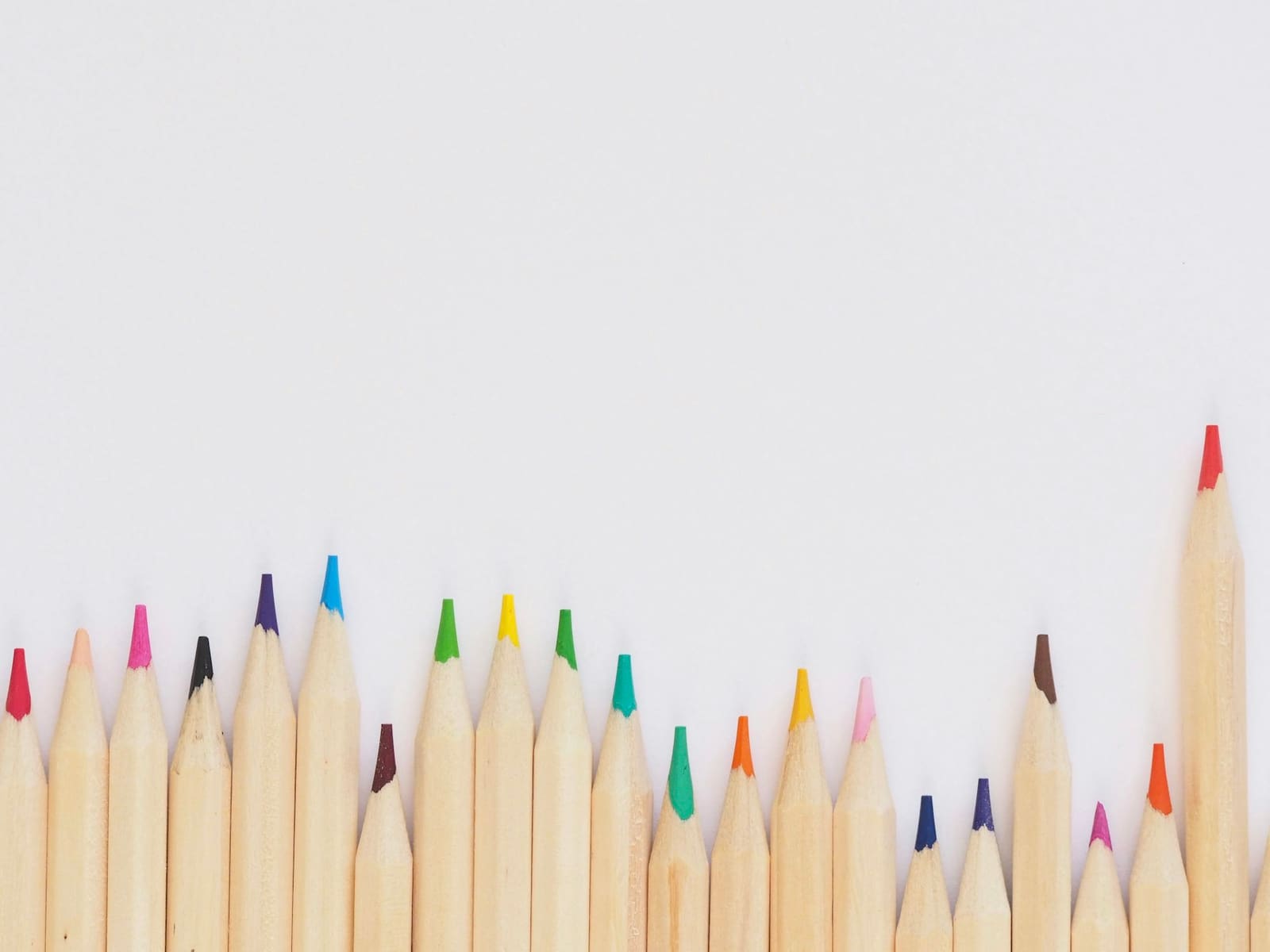 A row of sharpened coloured pencils in many colours lined up against a white background