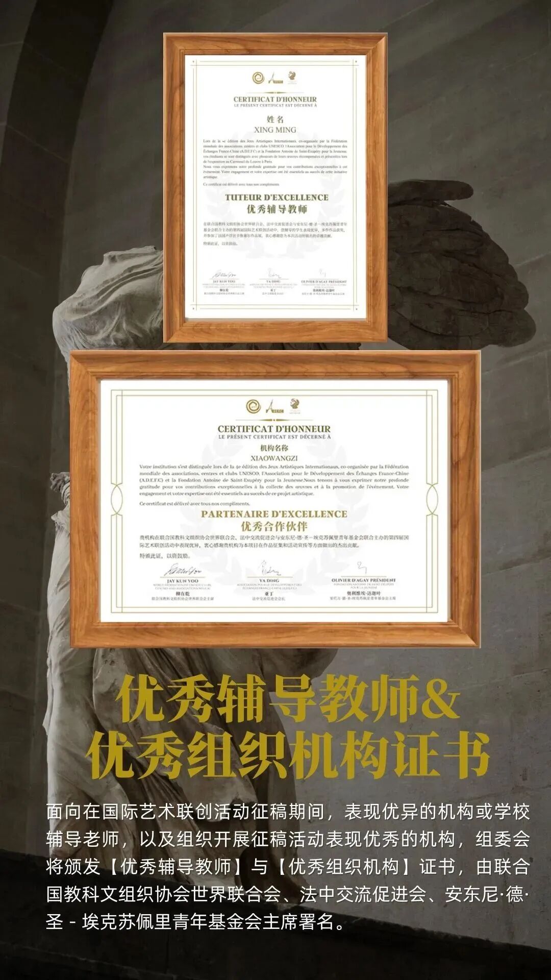 Outstanding instructor and organizing institution certificates