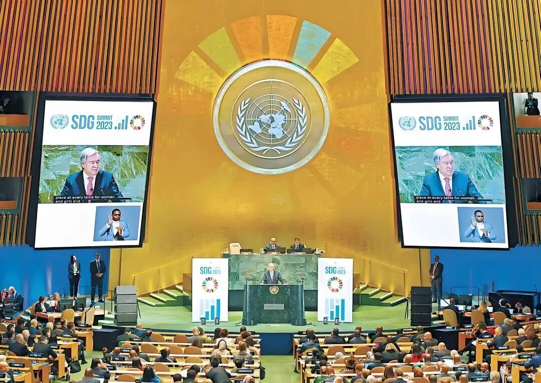 United Nations Sustainable Development Goals Summit