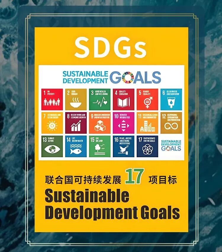 The seventeen United Nations Sustainable Development Goals